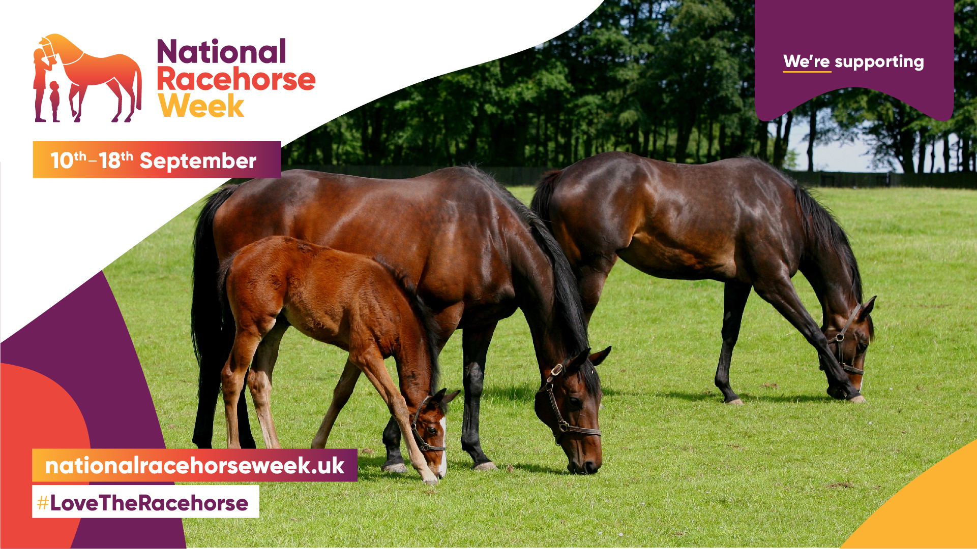 National Racehorse Week Racing Together